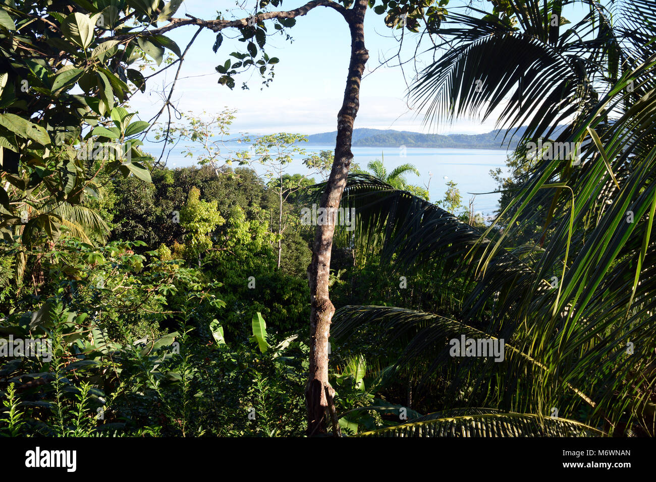 Le montagne e la foresta pluviale sulla costa del Pacifico nei pressi di Bahia Drake sul bordo del Parco Nazionale di Corcovado, Costa Rica. Foto Stock