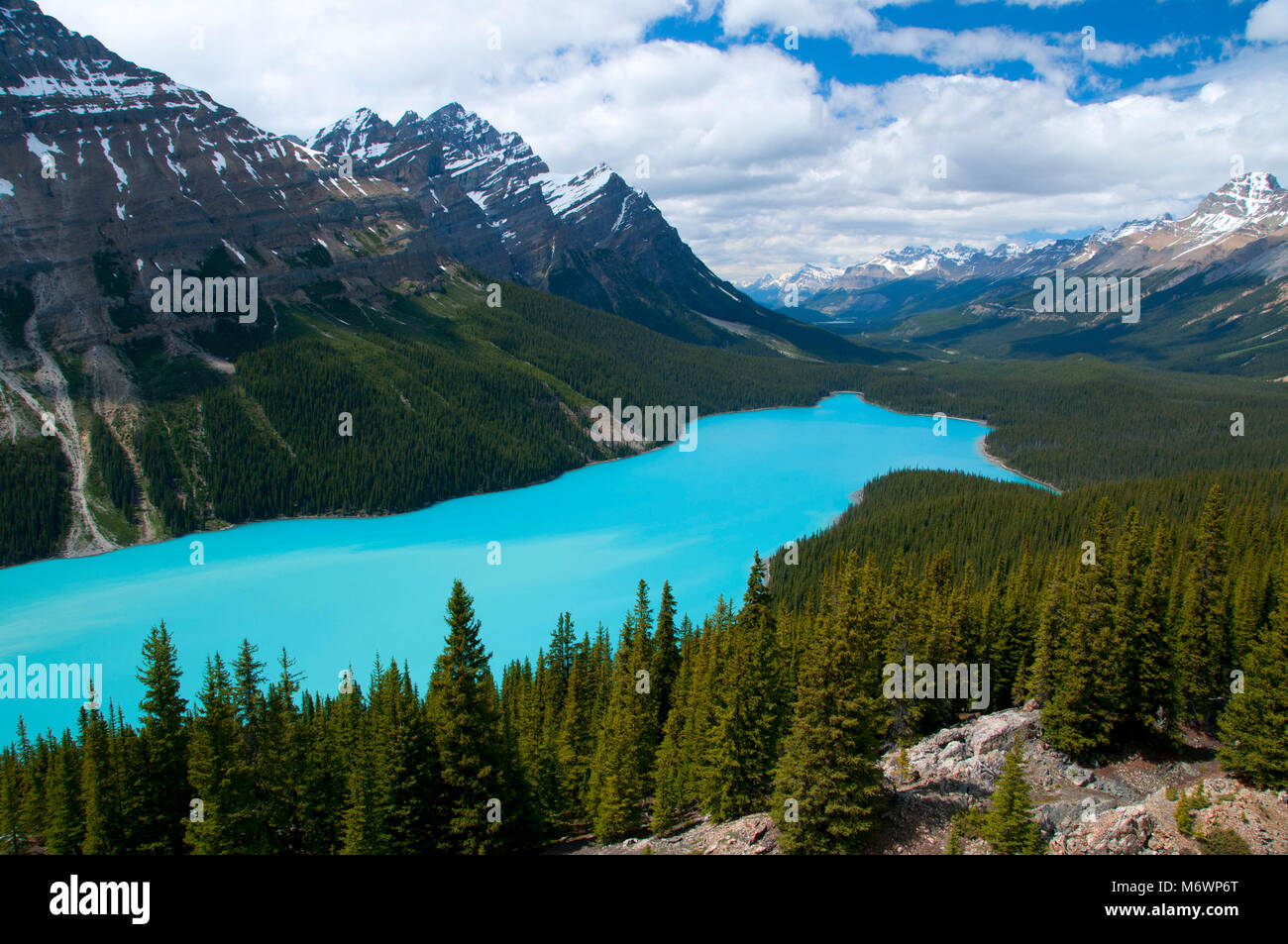 Il Lago Peyto con Calderone Peak & Mt Patterson, il Parco Nazionale di Banff, Alberta, Canada Foto Stock