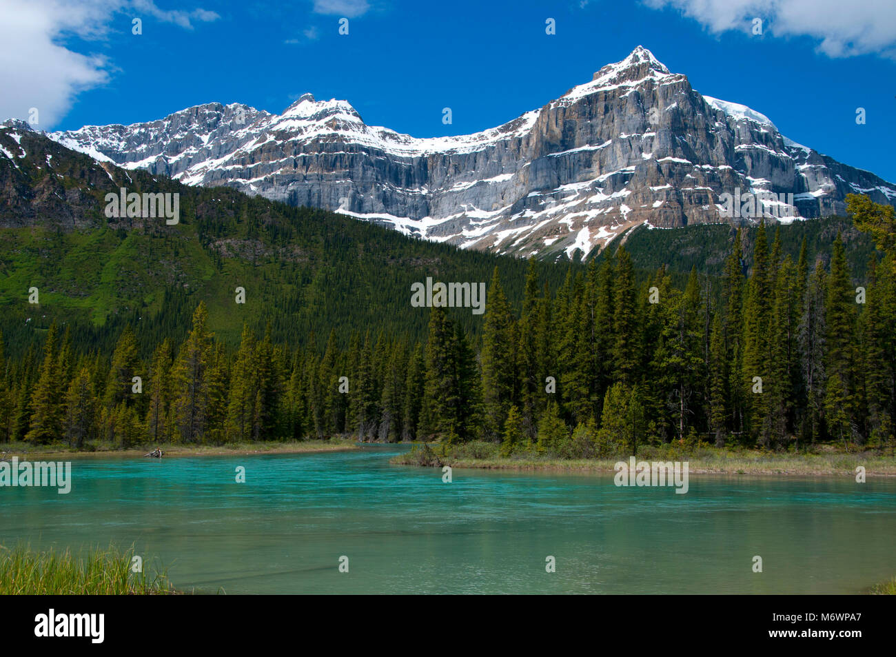 Mistaya Fiume Waputik montagne, il Parco Nazionale di Banff, Alberta, Canada Foto Stock