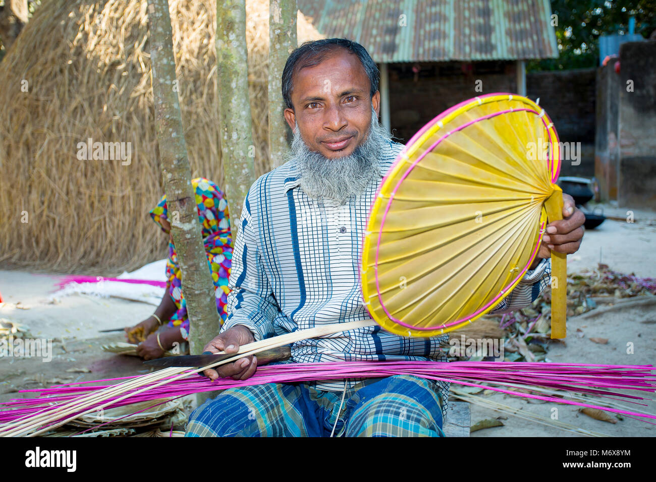 Ventola Palmyrah (pata Taal'r Pakha). Foto Stock