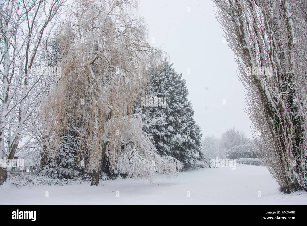 Neve profonda giardino coperto in Inghilterra Foto Stock