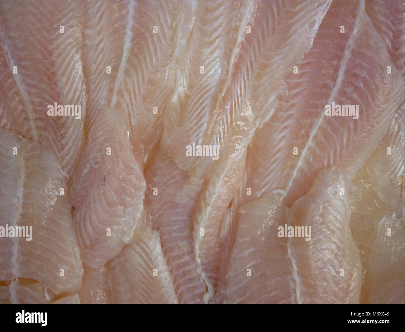 Fresco di filetti di merluzzo nel mercato del pesce, close up Foto Stock