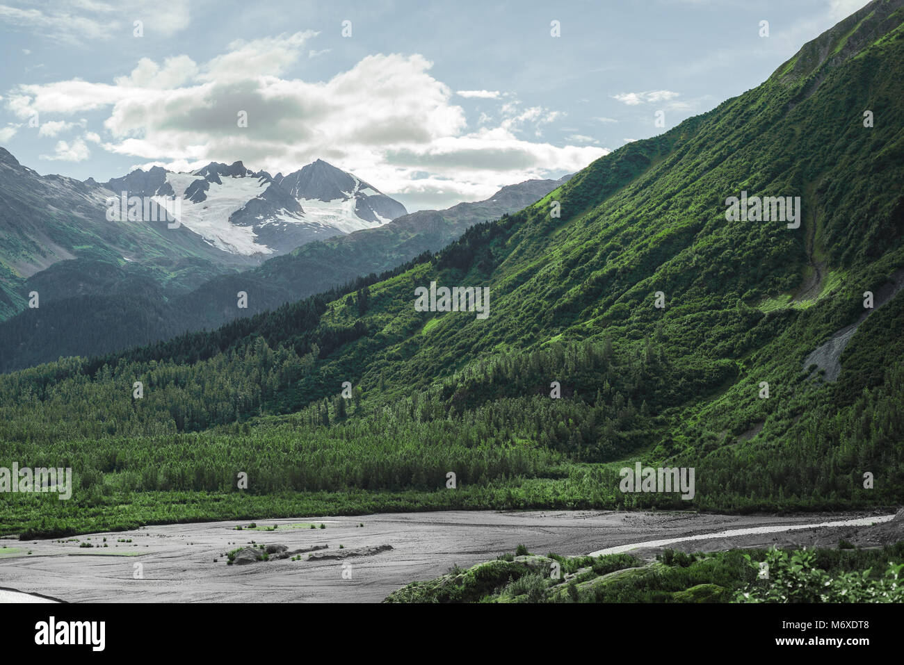 Il Parco nazionale di Kenai Fjords Foto Stock