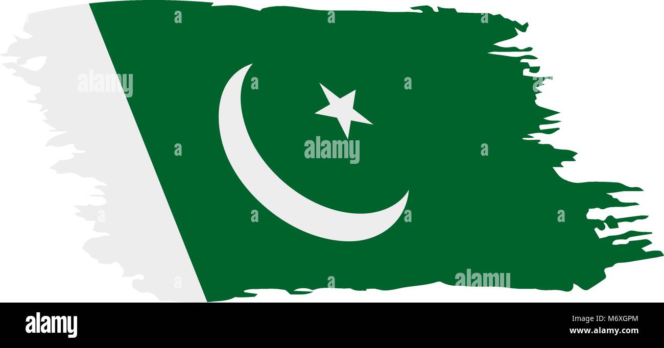 Il Pakistan bandiera, illustrazione vettoriale Illustrazione Vettoriale