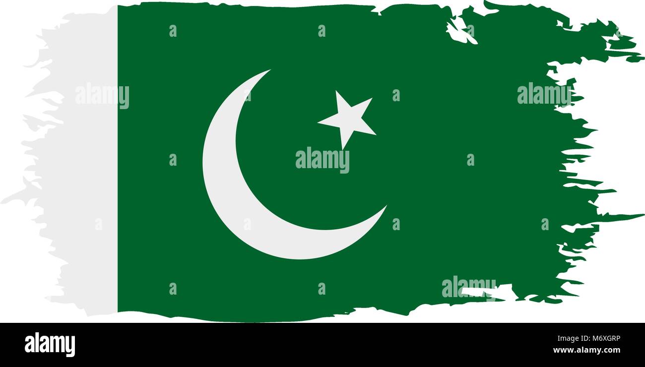 Il Pakistan bandiera, illustrazione vettoriale Illustrazione Vettoriale