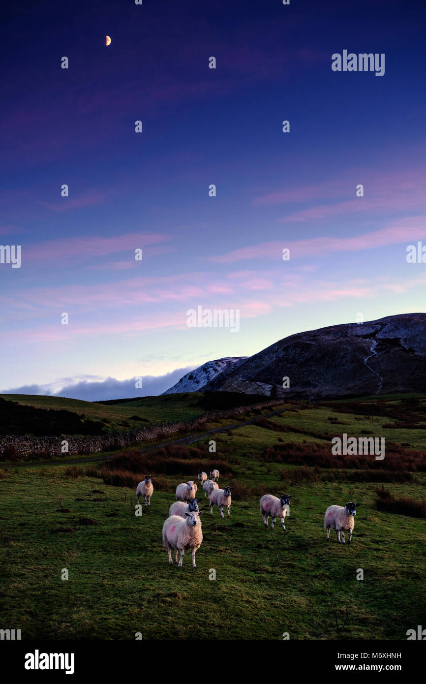 Il tempo per la casa, Burnbank cadde, nel distretto del lago, Cumbria, Regno Unito Foto Stock