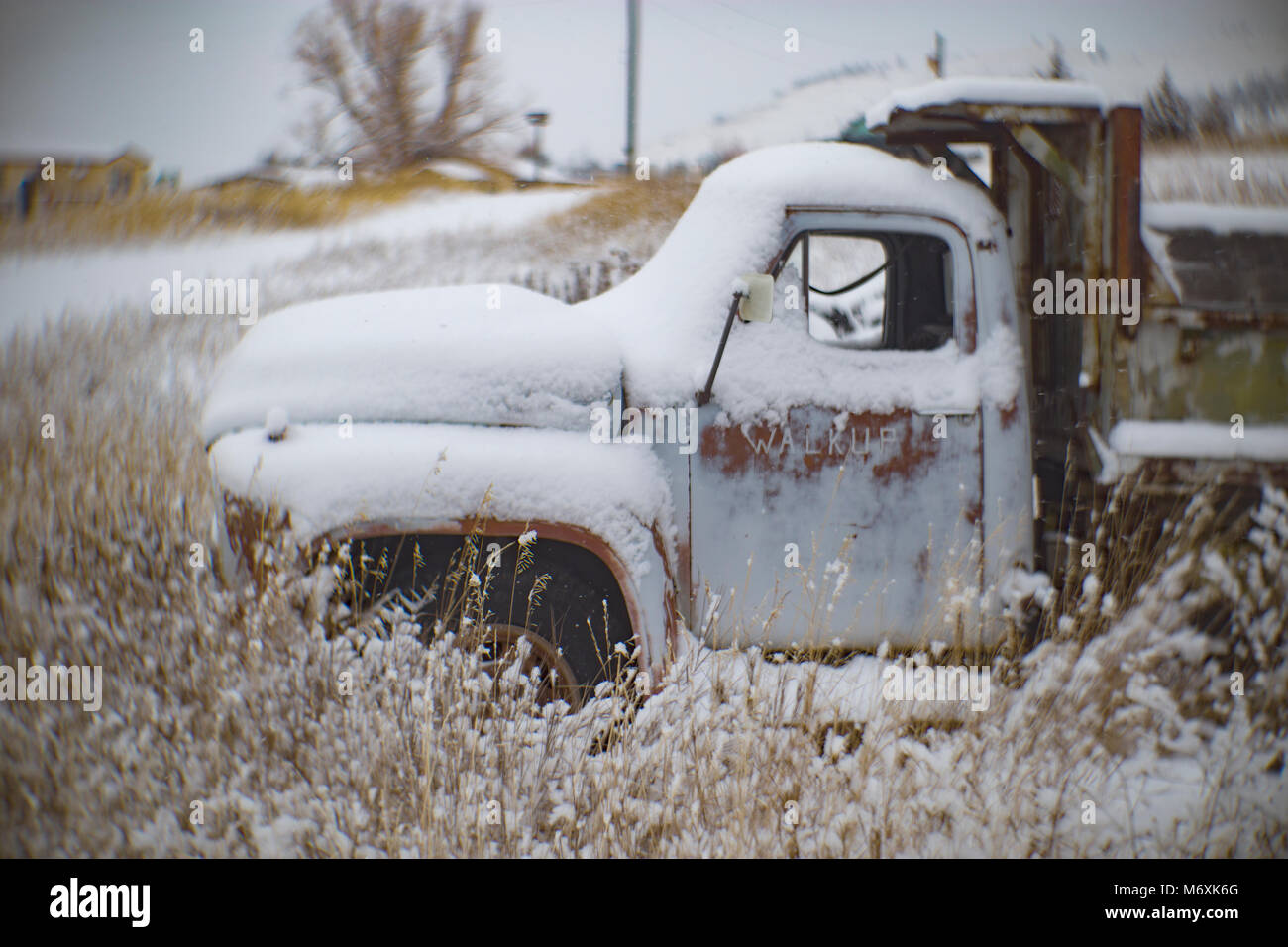 Un 1953 Ford autocarro con cassone ribaltabile, in una coperta di neve campo, in Philipsburg, Montana. Foto Stock
