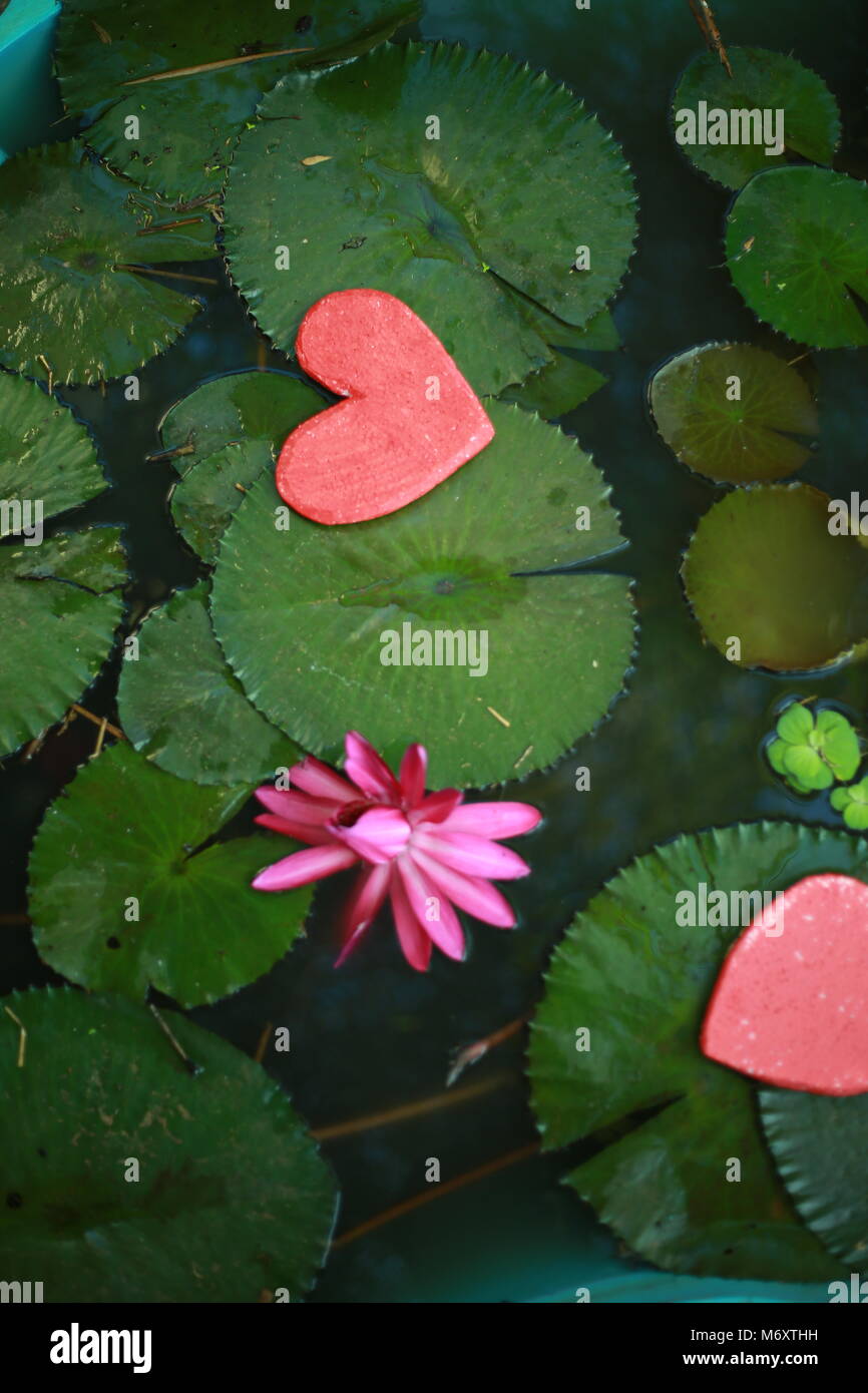 Opere d'arte da studenti, smilies Foto Stock