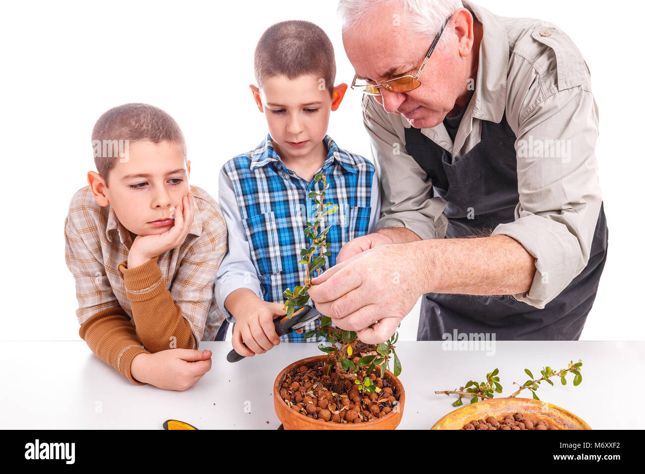 Senior uomo con i suoi nipoti avendo cura di pianta di bonsai Foto Stock