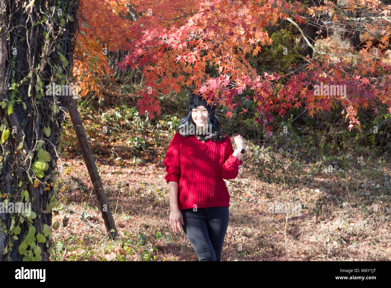 Giovani donne in posa di fronte dei bellissimi alberi in autunno quando le foglie sono di colore rosso arancio e giallo Foto Stock