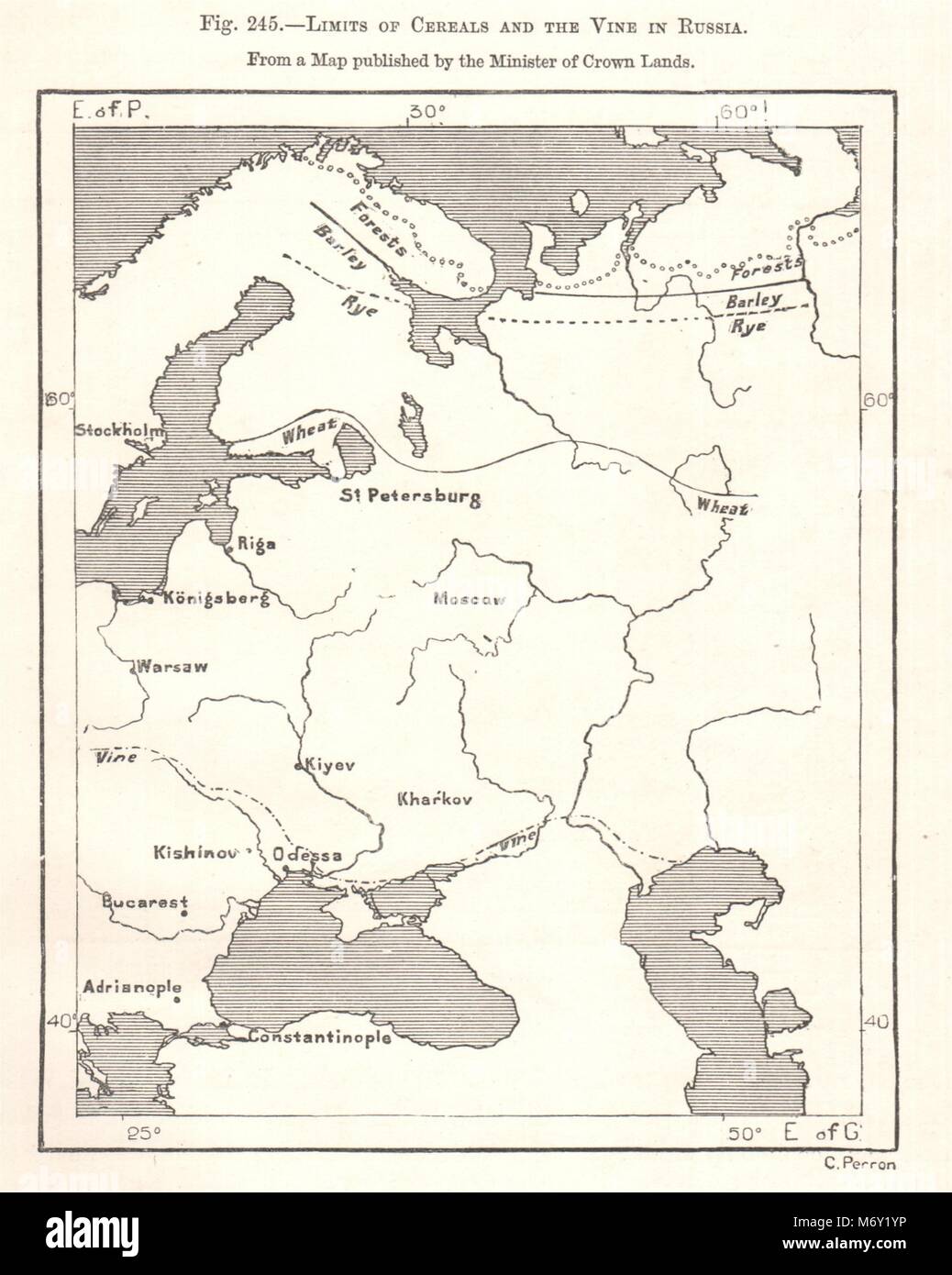 Limiti di cereali & Vigne in Russia. Ministro delle terre della Corona. Schizzo 1885 Foto Stock