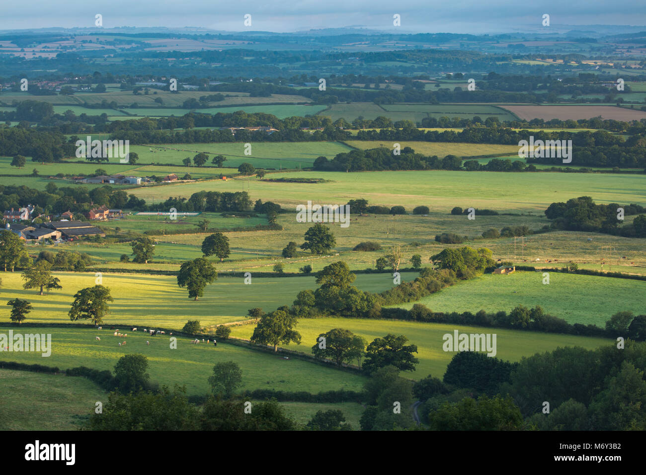 Prima luce su rolling farmland vicino Hazelbury Bryan da Bulbarrow Hill, Dorset, England, Regno Unito Foto Stock