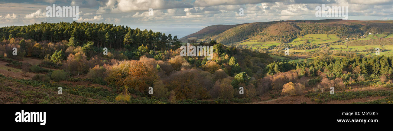 I colori autunnali su Luccombe collina con Bossington Hill, Selworthy e il Canale di Bristol al di là, Exmoor, Somerset, Inghilterra, Regno Unito Foto Stock