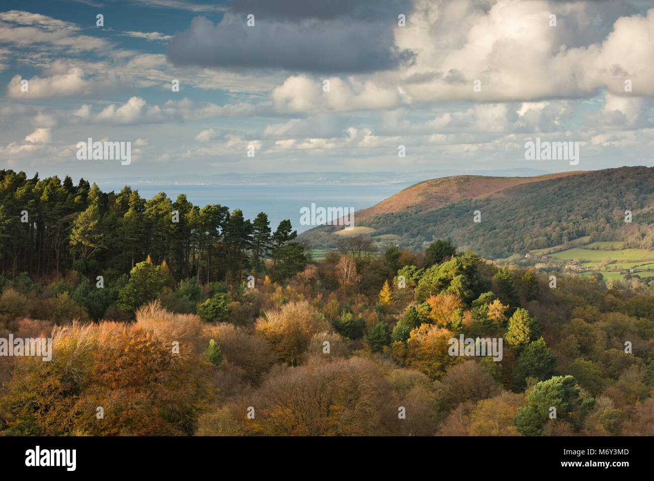 I colori autunnali su Luccombe collina con Bossington Hill e il Canale di Bristol al di là, Exmoor, Somerset, Inghilterra, Regno Unito Foto Stock