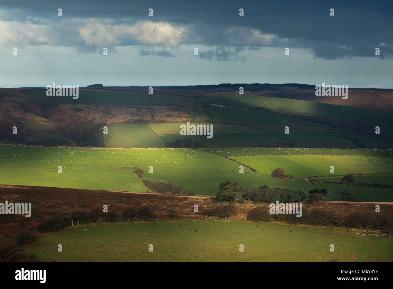 Prima luce su Stoke Pero dal Comune Dunkery Beacon, Exmoor, Somerset, Inghilterra, Regno Unito Foto Stock