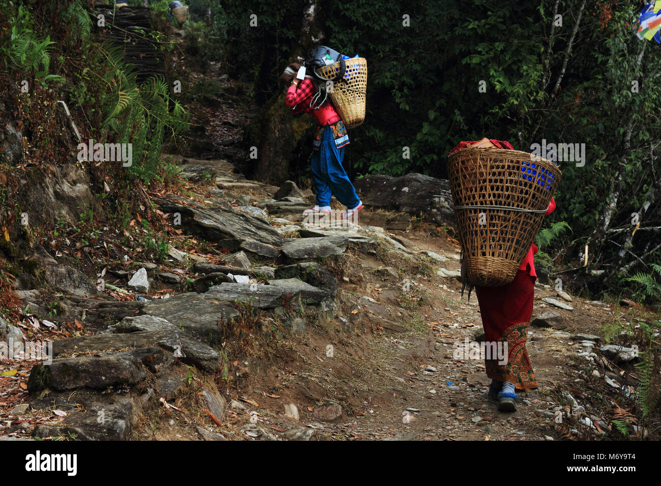 Pokhara, Nepal. Il 28 febbraio 2018. La signora facchini che trasportano un gli averi degli escursionisti agli Australian Camp nella regione di Annapurna, Nepal. Foto Stock