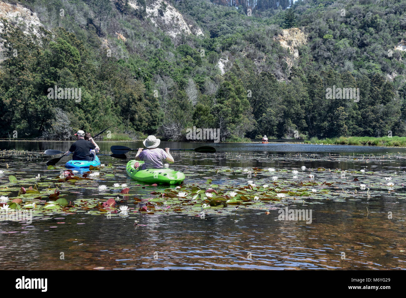 I turisti in kayak o canoa in Knysna fiume della Garden Route del Sud Africa in una bella giornata di sole Foto Stock