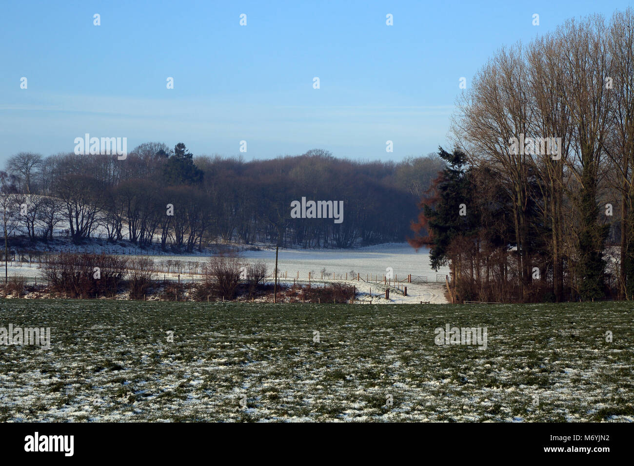 Vista su tutta coperta di neve sui Campi alla periferia di Brabourne fecce, Ashford, Kent, Regno Unito Foto Stock