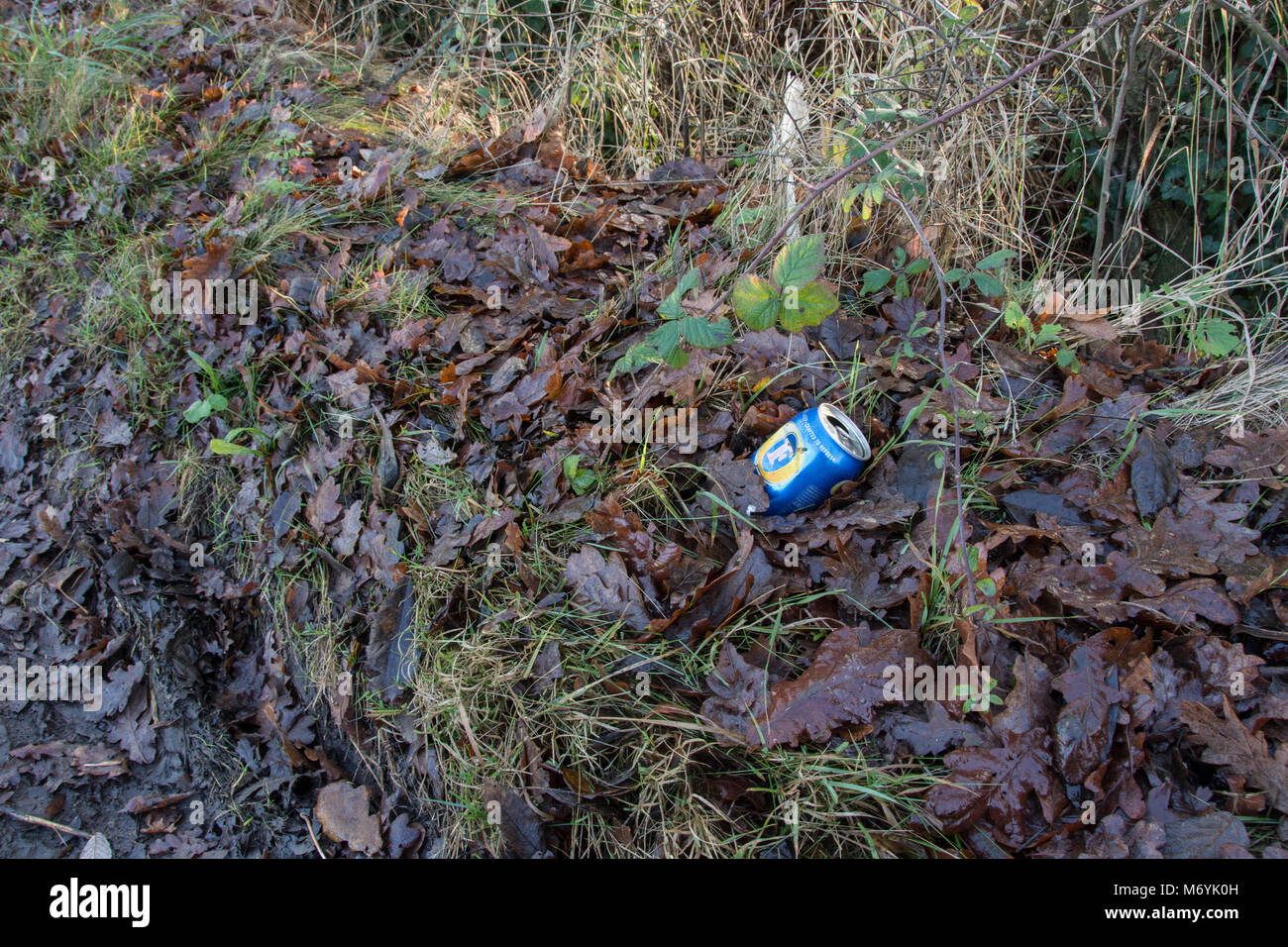 Un scartato lager possibile tra le foglie ed erba su un paese orlo Foto Stock