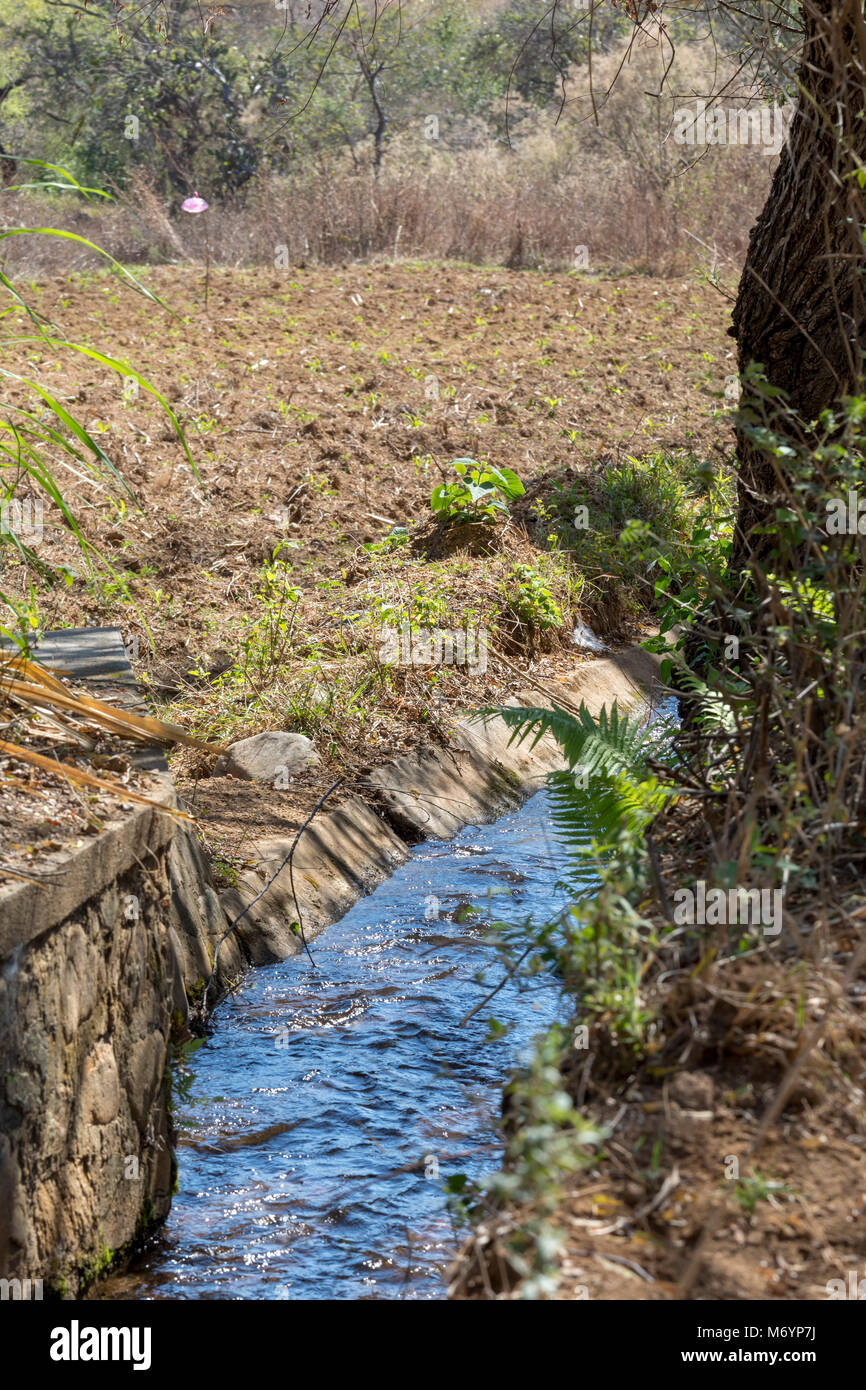 Carrizal, Oaxaca, Messico - un canale di irrigazione in prossimità di campi di fattoria nel West Etla Valle di Oaxaca rurale. Foto Stock