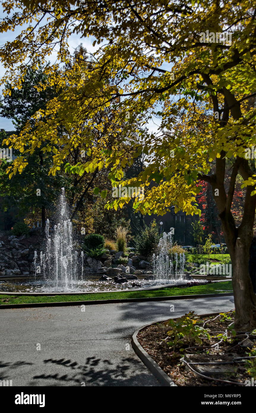 Gruppo da piccole fontane ad acqua fluente nella parte anteriore la bellezza rockery, Sofia, Bulgaria Foto Stock