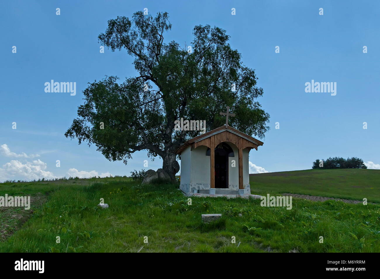 Bel paesaggio con estate venerato betulla e vecchia cappella, situato nella montagna plana, Bulgaria Foto Stock