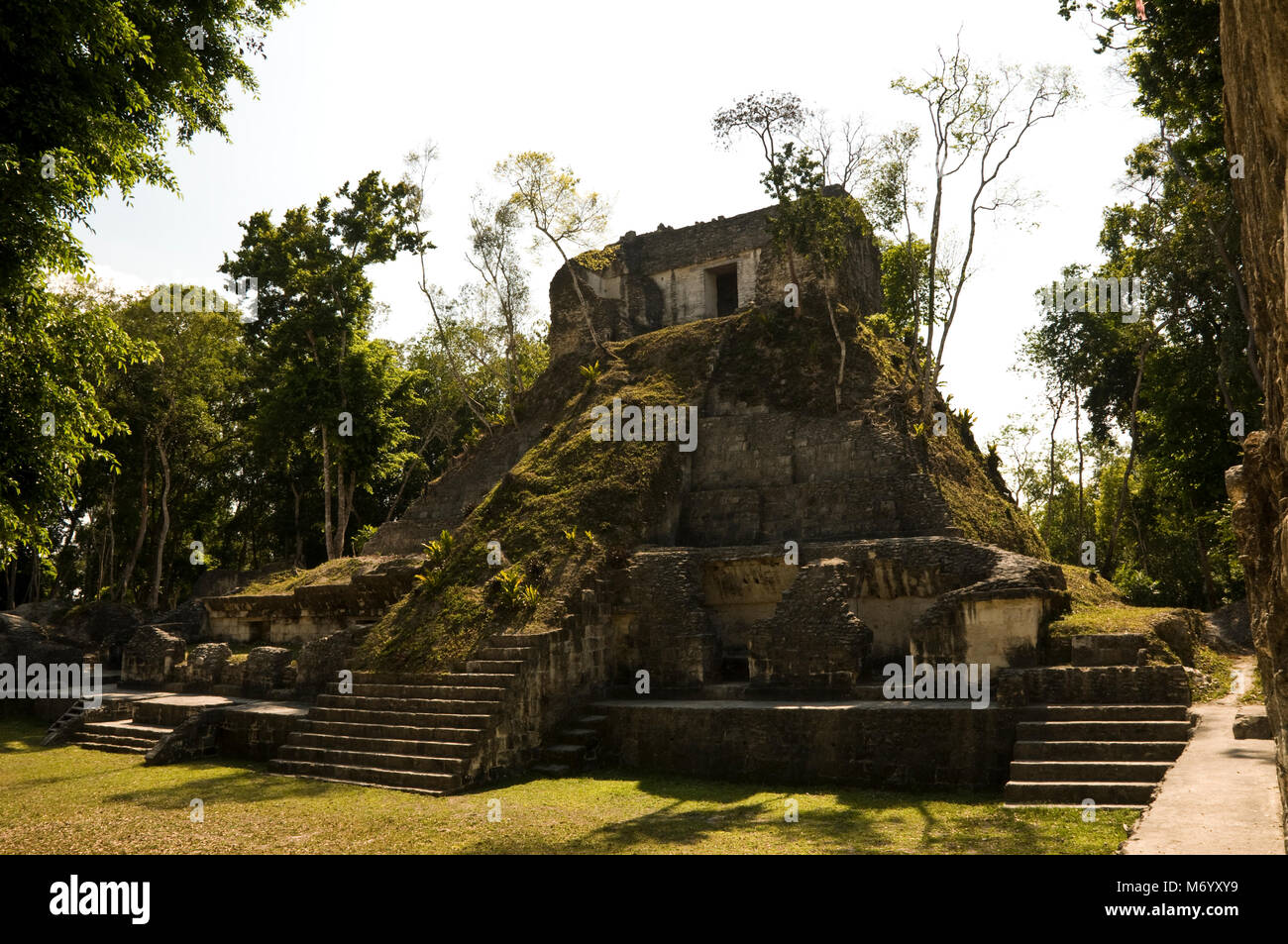 E Yaxhá Nakum, culturali e monumenti naturali, Guatemala, Petén Foto Stock