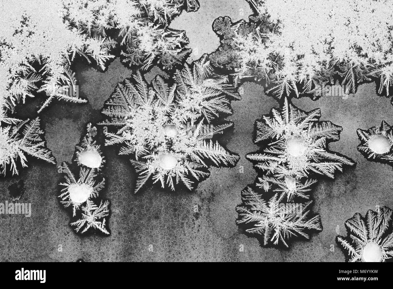 Sfondo colorato con argento gelo su un ago-finestra sagomata. Acqua congelata sulla finestra crea argento odecoration bellissimi ornamenti. Foto Stock