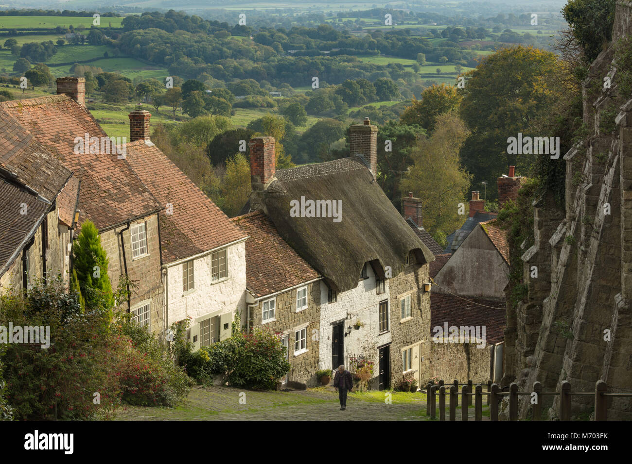 Un uomo camminare su per la Collina d'oro, Shaftesbury, Dorset, England, Regno Unito Foto Stock
