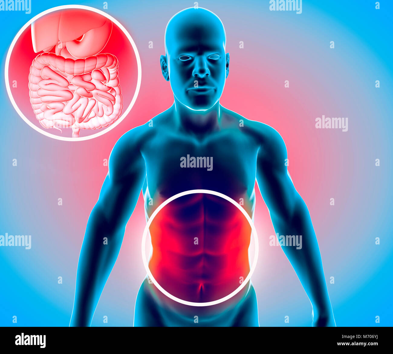 Il corpo umano, uomo, sistema digestivo, anatomia. L'intestino. Ampliamento del settore addominale. Dolore addominale. Il rendering 3D Foto Stock