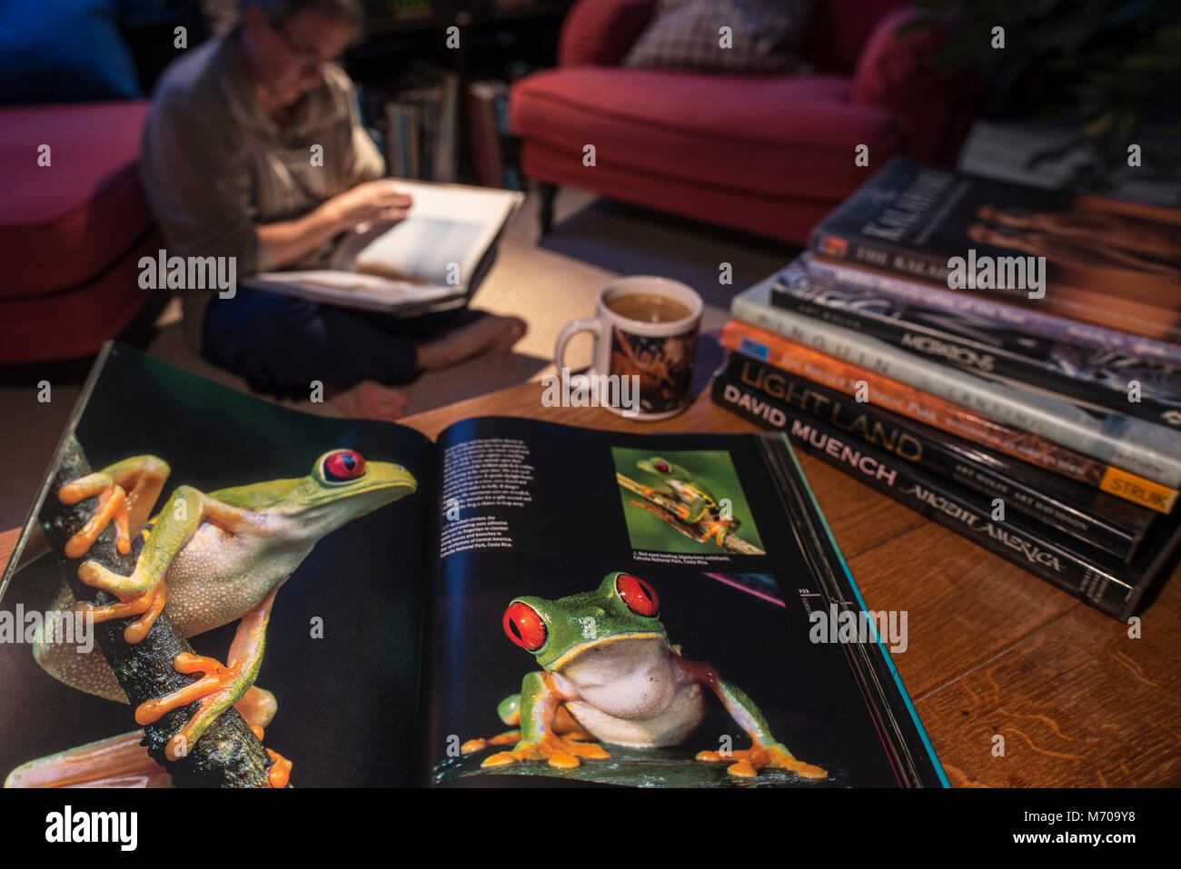 Aprire non-fiction caffè con copertina rigida tabella libro sulla fotografia della fauna selvatica che mostra gli animali nel salotto di casa Foto Stock