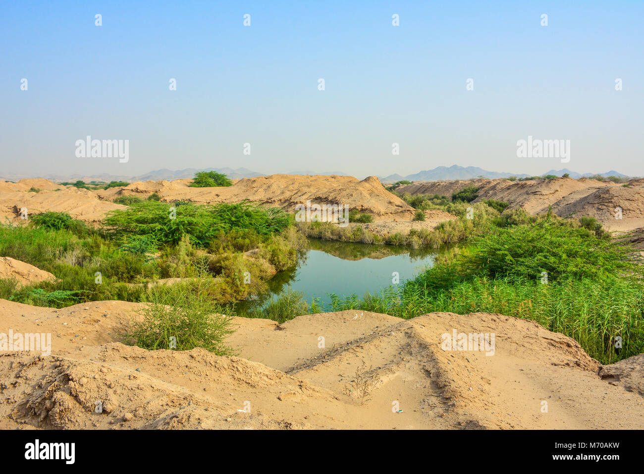 Valle Verde lago del deserto, Arabia Saudita Foto Stock