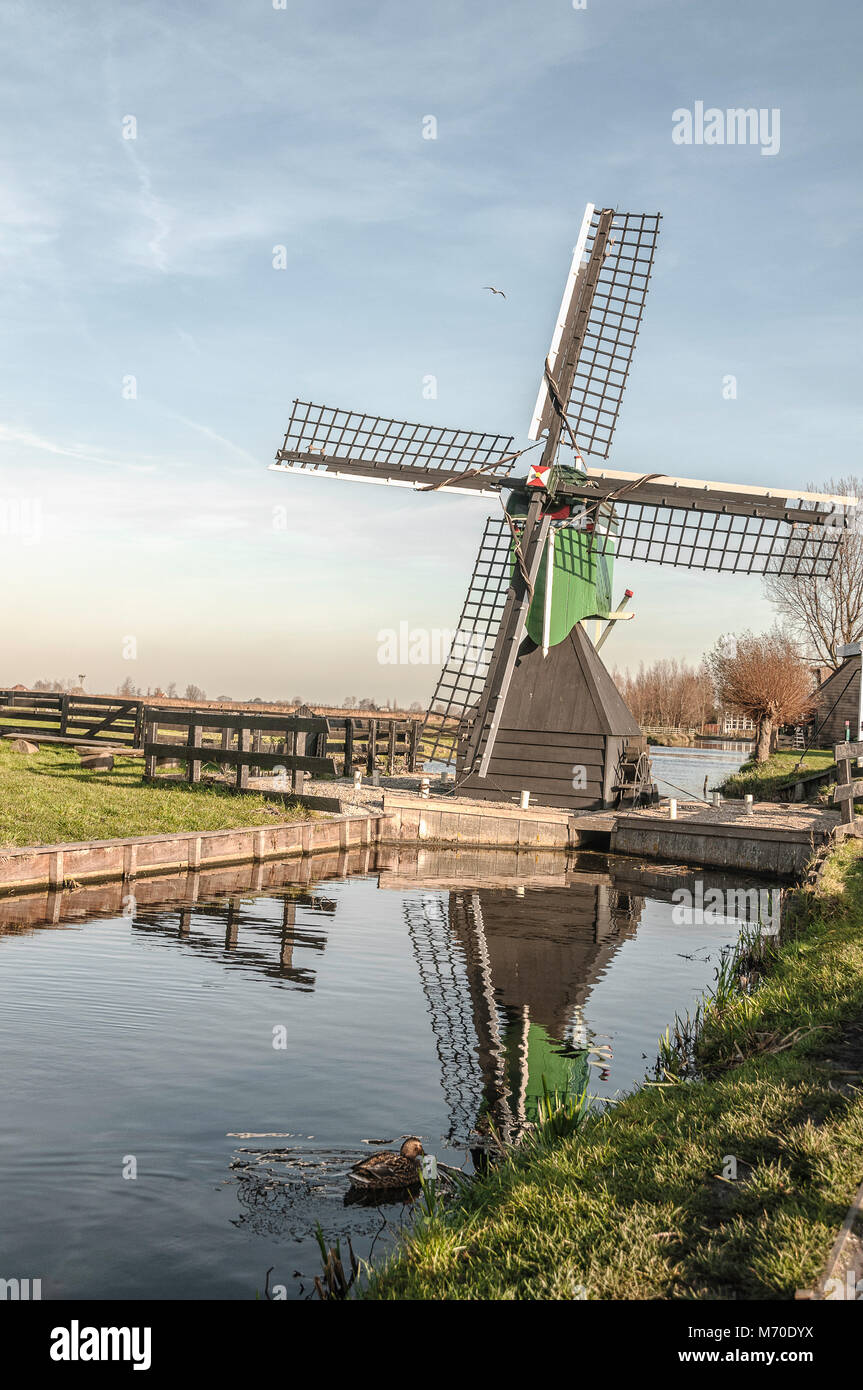 Lo splendido paesaggio di un mulino a vento olandese a Zaanse Schans Foto Stock