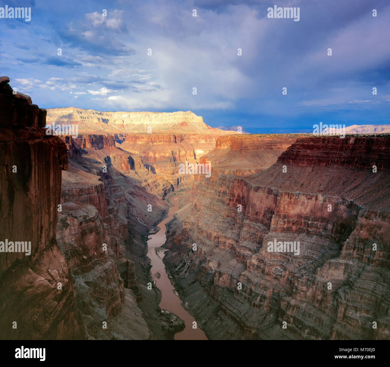 Avvicinando la tempesta, Toroweap si affacciano, il Fiume Colorado e il Grand Canyon National Park, Arizona Foto Stock