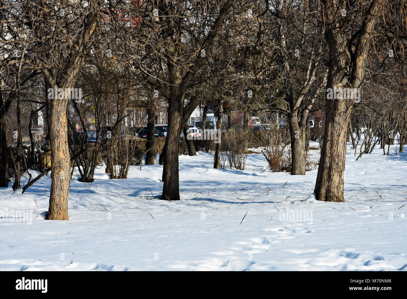 Neve in una giornata di sole a Union Square (Piata Unirii) Bucarest, Romania Foto Stock