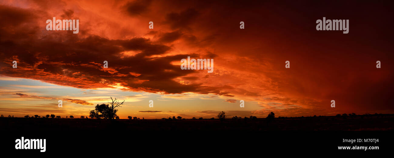 Tempesta secca passa su semi-aride steppe, North West Victoria, Australia. Foto Stock