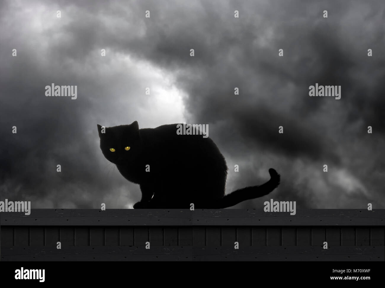 Nuvole tempesta di Halloween dietro un gatto nero con occhi gialli seduti su una recinzione Foto Stock