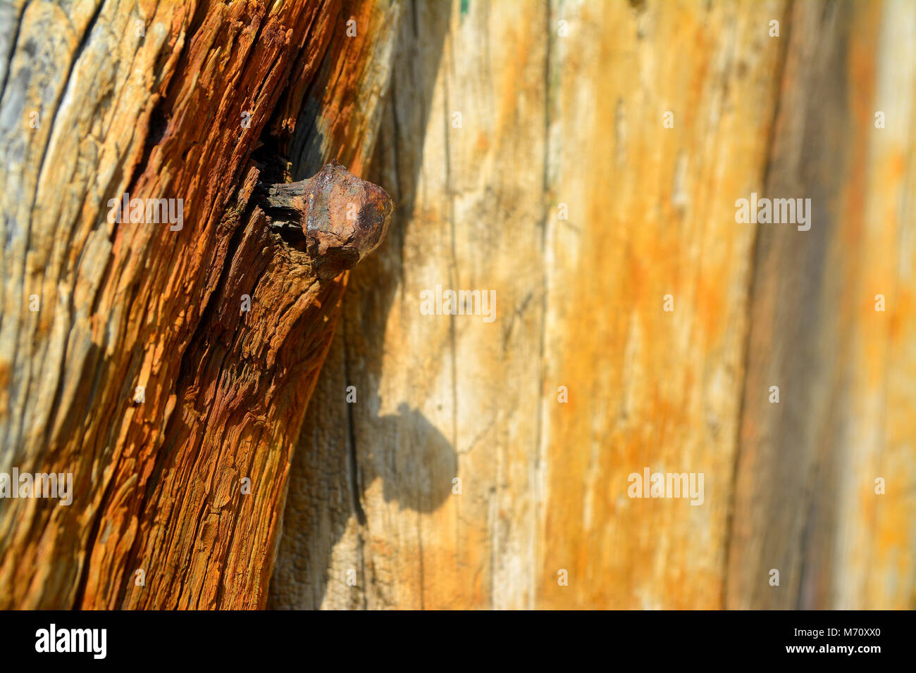 Foto artistiche. Il legno e la ruggine. Foto Stock