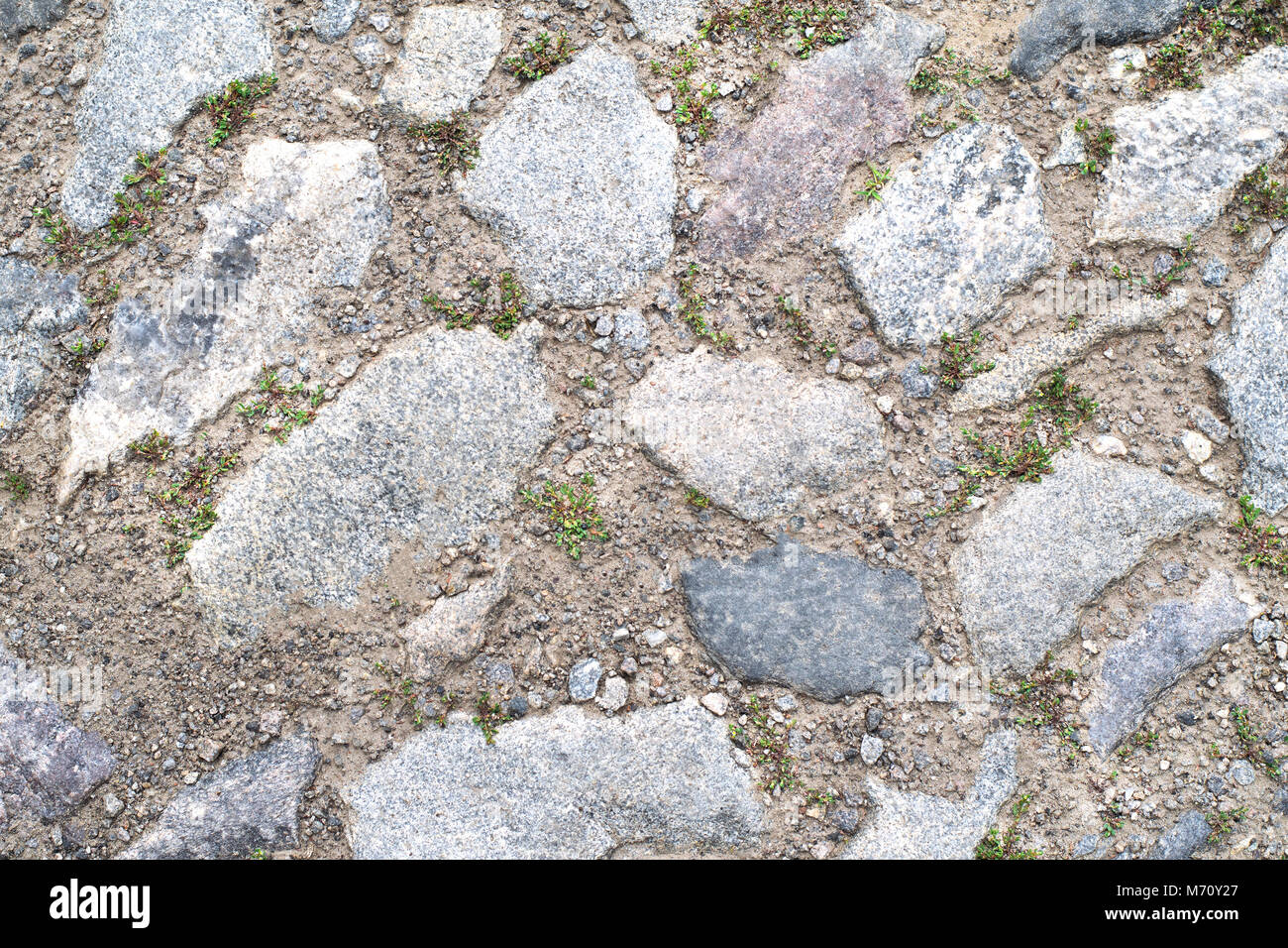 Seamless texture di una pavimentazione in pietra via su un prato verde. Può essere utilizzata come sfondo per il tuo progetto o come una texture in computer grafica e gioco d Foto Stock