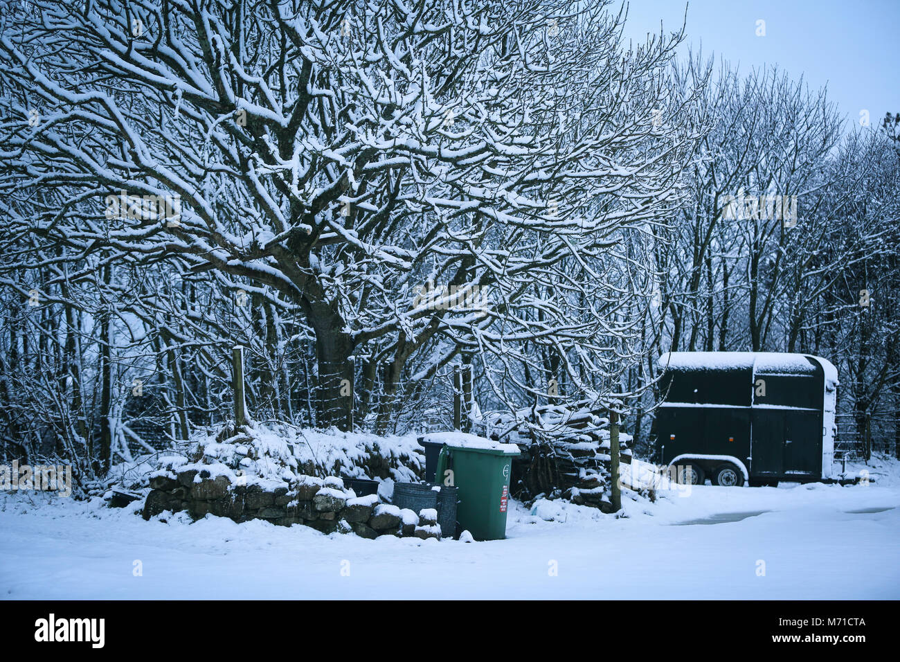 Abersoch in Gwynedd, Galles del Nord, Regno Unito. 8 Marzo, 2018. Per una notte pesante nevicata nel Mynytho vicino Abersoch in Gwynedd, Galles del Nord, Regno Unito. Dopo l'ultimo weekend di neve pesante, la gente del Galles si è svegliato di una scena simile, con il freddo inverno di continuare con una notte di nevicata. Credito: Dafydd Owen/Alamy Live News Foto Stock