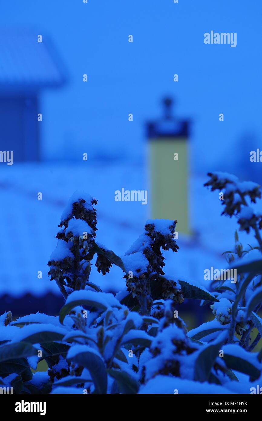 Di colore giallo brillante camino su terreni innevati giorno Foto Stock