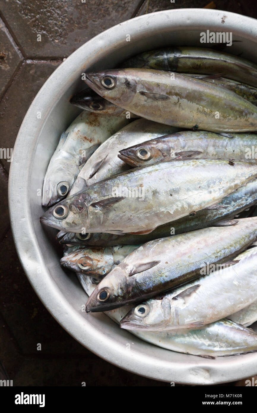 In Cambogia il cibo - il pesce in un recipiente di metallo posto in attesa di cottura, Kep mercato, kampot Provincia, Cambogia, Asia Foto Stock