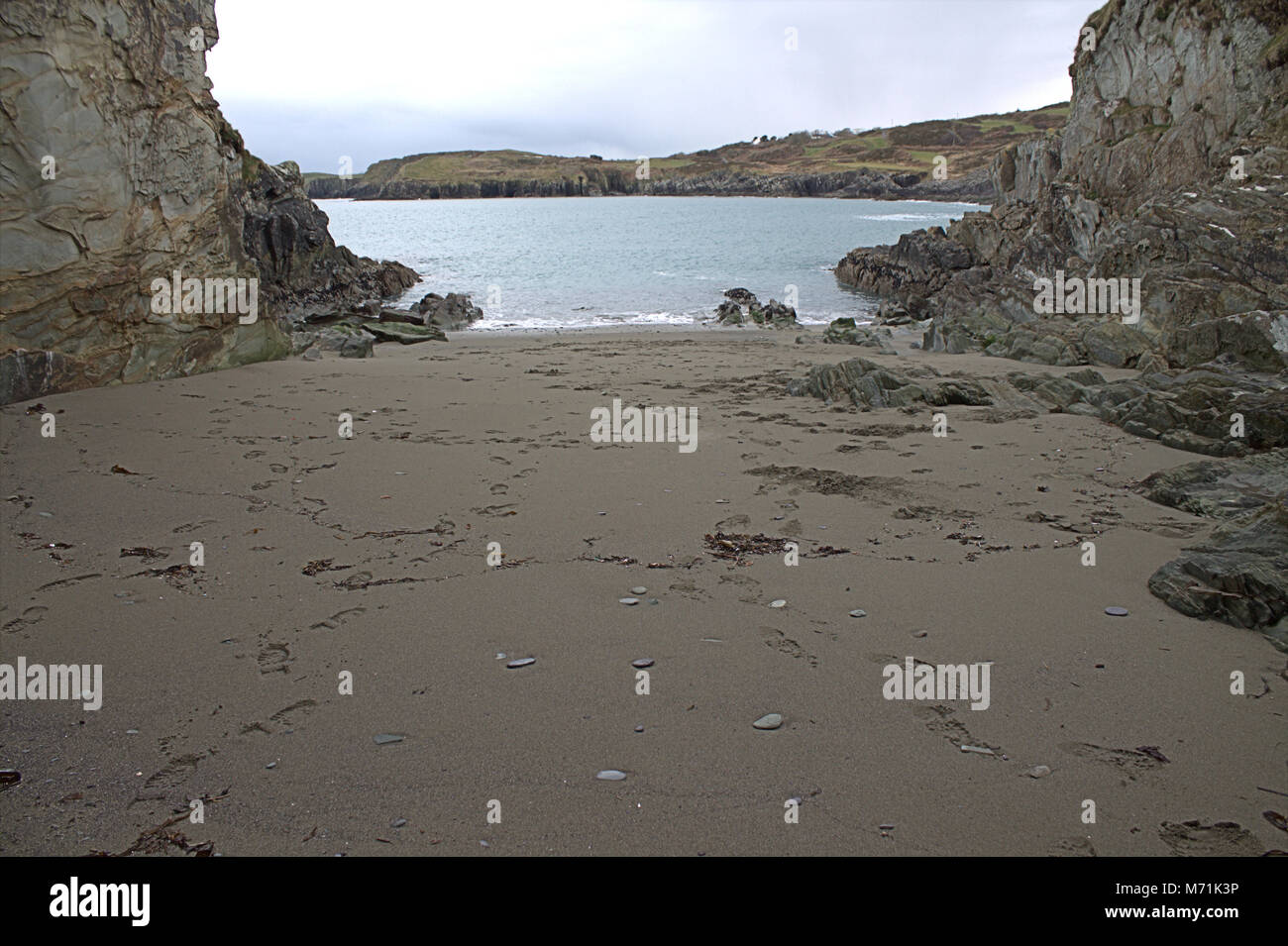 Orme nella sabbia di una tranquilla insenatura di sabbia sulla costa di West Cork, Irlanda. Foto Stock