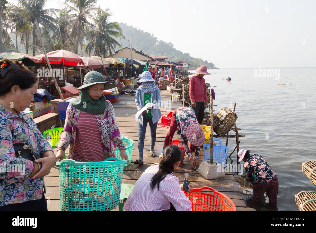 Kep Cambogia - Crab pescatori portando la cattura di granchio al mercato per lo smistamento e la vendita da parte delle donne sul molo, Kep mercato di granchio, Cambogia, Asia Foto Stock