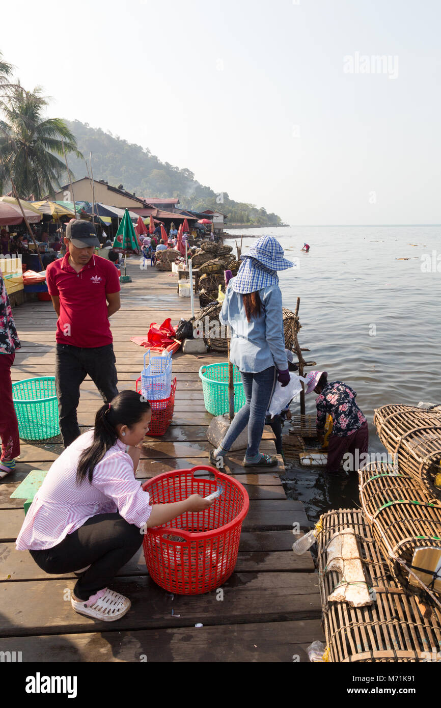 Kep Cambogia - Crab pescatori portando la cattura di granchio al mercato per lo smistamento e la vendita da parte delle donne sul molo, Kep mercato di granchio, Cambogia, Asia Foto Stock