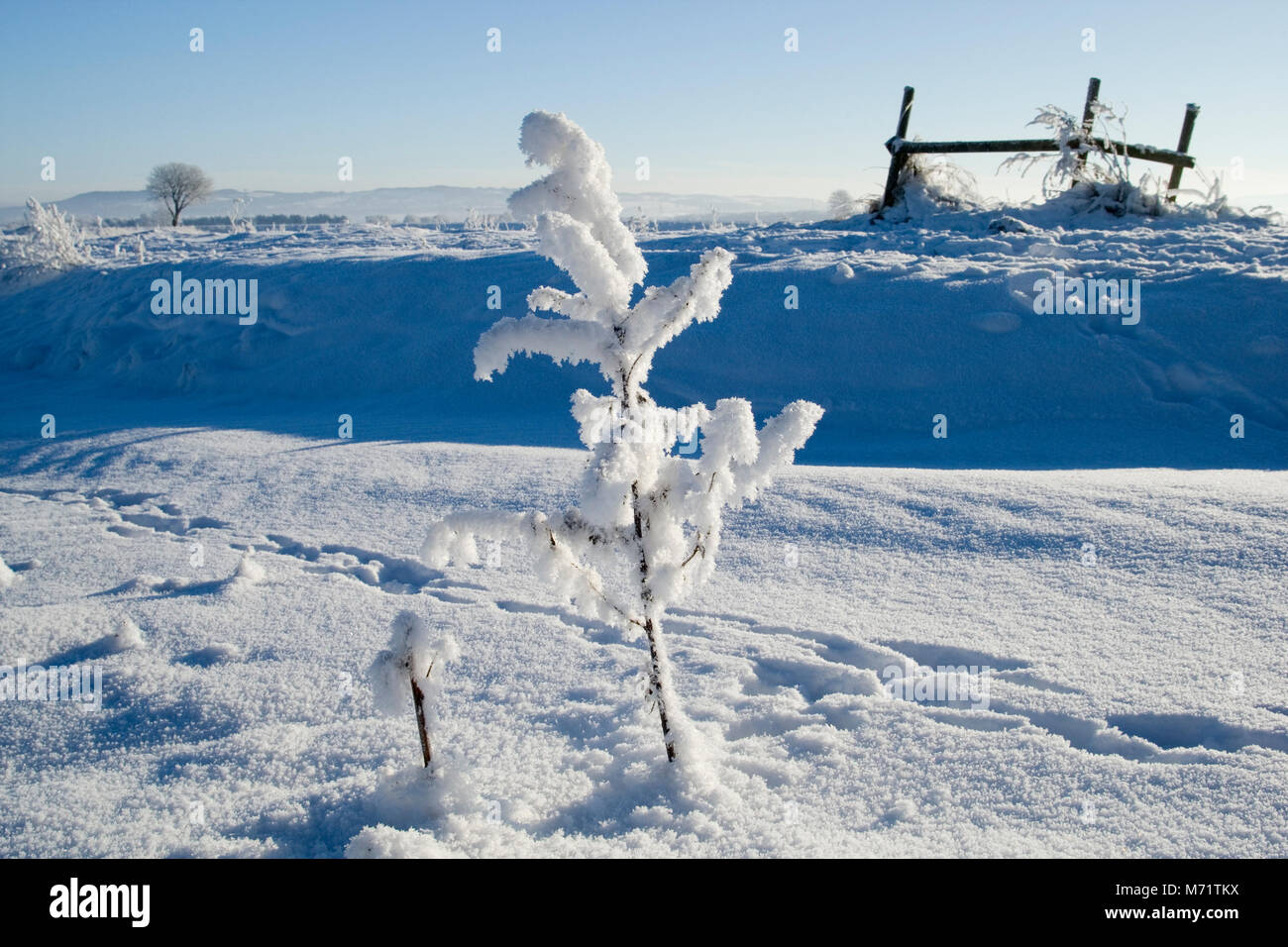 Coperta di neve terreni agricoli del West Lancashire villaggio di Rufford, la vigilia di Natale 2010 Foto Stock