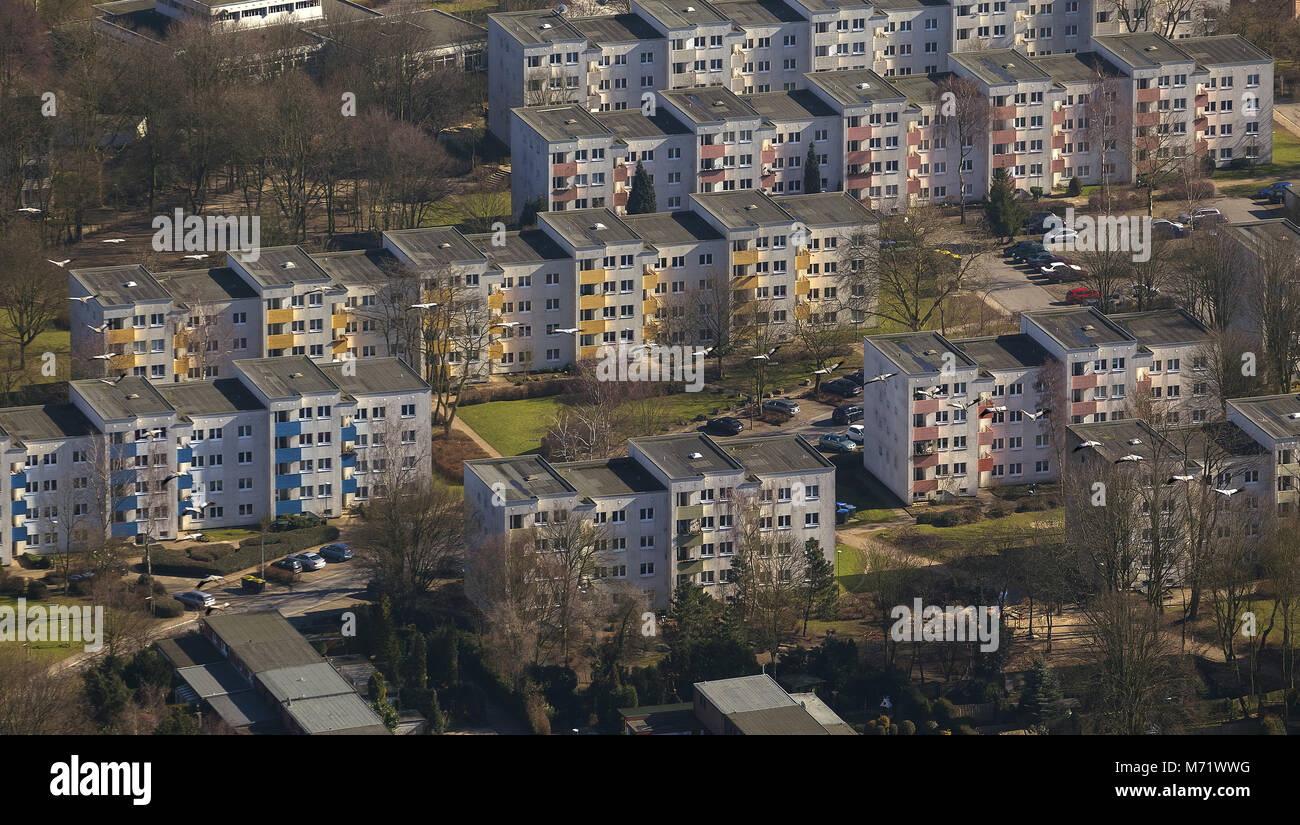 Vista aerea, edifici ad alta con voli in formazione gru, Marl, Ruhr, Renania settentrionale-Vestfalia, in Germania, in Europa, gli uccelli occhi vista, Vista aerea, antenna Foto Stock