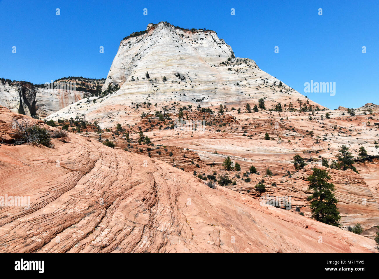 Uno dei tanti imponenti monoliti di arenaria che sono abbondanti nel Parco Nazionale di Zion lungo con la roccia di slittamento in primo piano. Foto Stock
