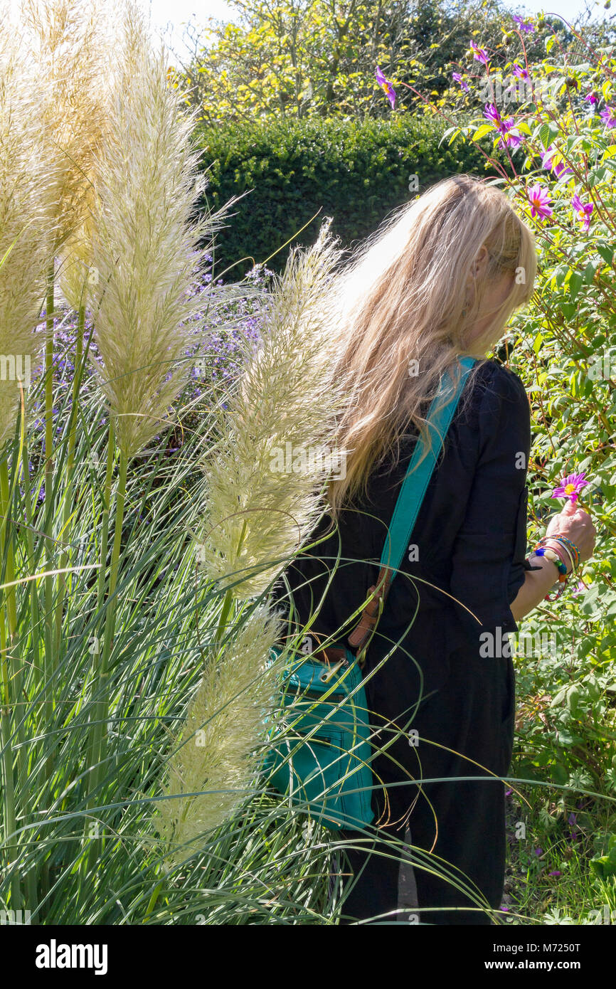 Un visitatore donna con capelli lunghi biondi riflette le erbe nei confini a Great Dixter, REGNO UNITO Foto Stock