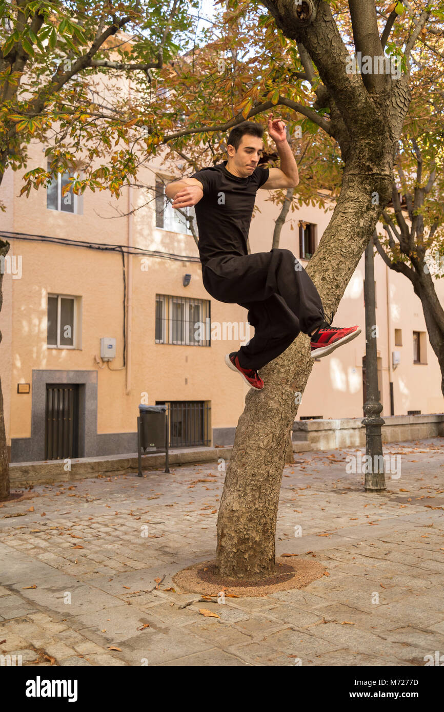 Giovane uomo facendo un incredibile parkour trick su un albero in strada. Foto Stock